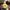 nat-gardening-category-pic nat-gardening-category-pic