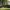 2974 - Rectangular Sprinkler Plus 2974 - Rectangular Sprinkler Plus